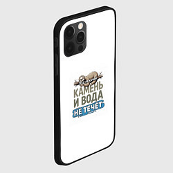 Чехол для iPhone 12 Pro Под лежачий камень бежевый арт, цвет: 3D-черный — фото 2