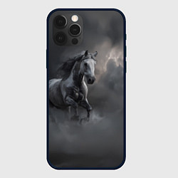 Чехол для iPhone 12 Pro Белая лошадь в тумане, цвет: 3D-черный