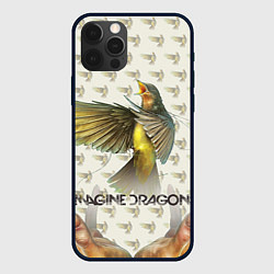 Чехол для iPhone 12 Pro Imagine Dragons: Fly, цвет: 3D-черный
