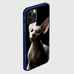 Чехол для iPhone 12 Pro Котик сфинкс, цвет: 3D-тёмно-синий — фото 2