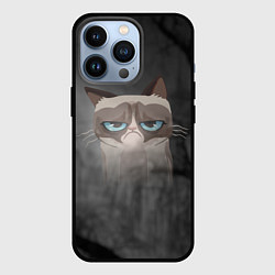 Чехол для iPhone 13 Pro Grumpy Cat, цвет: 3D-черный