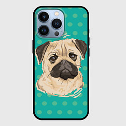 Чехол для iPhone 13 Pro Pug Mops, цвет: 3D-черный