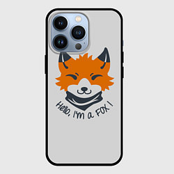 Чехол для iPhone 13 Pro Hello Fox, цвет: 3D-черный