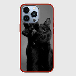 Чехол для iPhone 13 Pro Черный котик, цвет: 3D-красный