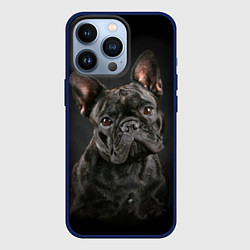 Чехол для iPhone 13 Pro Французский бульдог, цвет: 3D-тёмно-синий