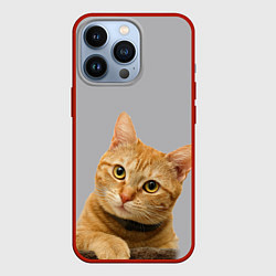 Чехол для iPhone 13 Pro Рыжий котик, цвет: 3D-красный