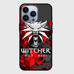 Чехол для iPhone 13 Pro The Witcher, цвет: 3D-черный