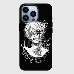 Чехол для iPhone 13 Pro Ken and scolopendra, цвет: 3D-черный