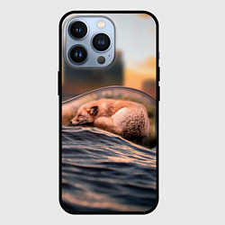 Чехол для iPhone 13 Pro Лисенок в бутылке, цвет: 3D-черный