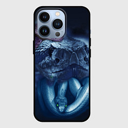 Чехол для iPhone 13 Pro Мифические змеи, цвет: 3D-черный