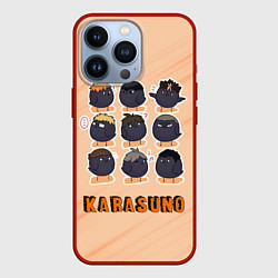 Чехол для iPhone 13 Pro Вороны школы Карасуно Haikyu!!, цвет: 3D-красный