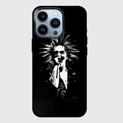 Чехол для iPhone 13 Pro Горшок на концерте, цвет: 3D-черный