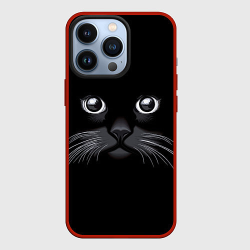 Чехол iPhone 13 Pro Кот Журбей / 3D-Красный – фото 1