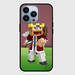 Чехол для iPhone 13 Pro Minecraft Hero Video game, цвет: 3D-черный