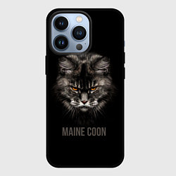 Чехол для iPhone 13 Pro Maine coon - кот, цвет: 3D-черный