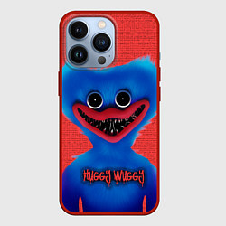 Чехол для iPhone 13 Pro Хаги Ваги на красном фоне, цвет: 3D-красный