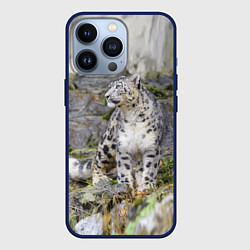 Чехол для iPhone 13 Pro Снежный барс среди скал, цвет: 3D-тёмно-синий