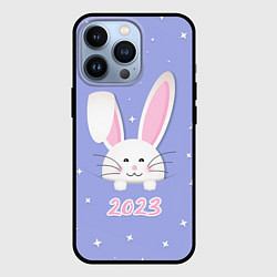 Чехол для iPhone 13 Pro Кролик - символ 2023 года, цвет: 3D-черный