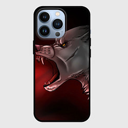 Чехол iPhone 13 Pro Арт злой волк