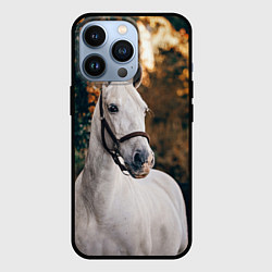 Чехол iPhone 13 Pro Белая лошадка