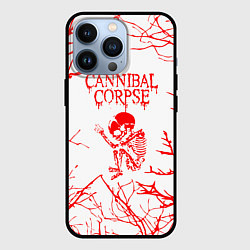 Чехол для iPhone 13 Pro Cannibal Corpse ветки, цвет: 3D-черный