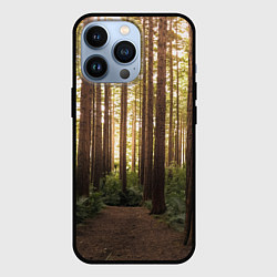 Чехол для iPhone 13 Pro Дневной лес, деревья и свет, цвет: 3D-черный