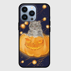 Чехол iPhone 13 Pro Котик в тыкве, хеллоуин