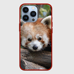 Чехол для iPhone 13 Pro Красная панда, цвет: 3D-красный