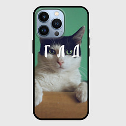 Чехол для iPhone 13 Pro Мем с котом - голод, цвет: 3D-черный