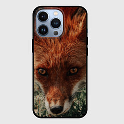 Чехол для iPhone 13 Pro Лиса, цвет: 3D-черный