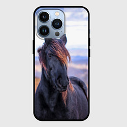 Чехол для iPhone 13 Pro Черный конь, цвет: 3D-черный