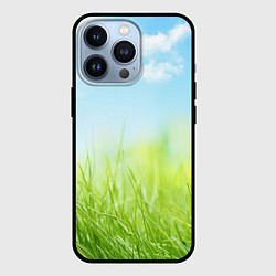 Чехол для iPhone 13 Pro Зелень и небо, цвет: 3D-черный