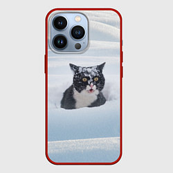 Чехол для iPhone 13 Pro Кот встречает свой Новый Год, цвет: 3D-красный