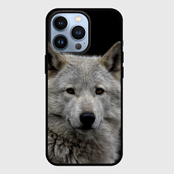 Чехол для iPhone 13 Pro Серый волк на темном фоне, цвет: 3D-черный