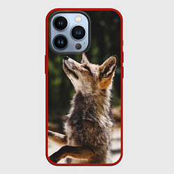Чехол для iPhone 13 Pro Лис на задних лапках, цвет: 3D-красный