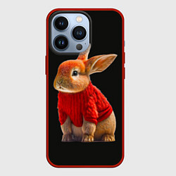 Чехол для iPhone 13 Pro Кролик в свитере, цвет: 3D-красный