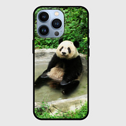 Чехол для iPhone 13 Pro Панда отдыхает в ванной, цвет: 3D-черный