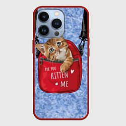 Чехол для iPhone 13 Pro Are you kitten me, цвет: 3D-красный