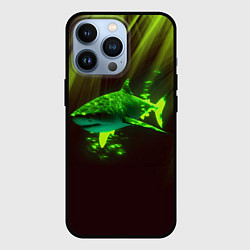 Чехол для iPhone 13 Pro Хищная акула, цвет: 3D-черный