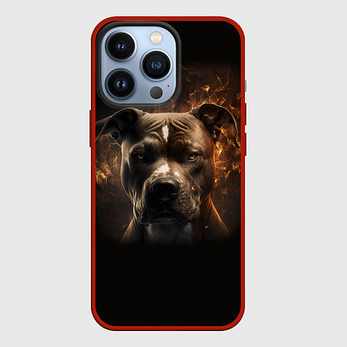 Чехол iPhone 13 Pro Стафф - огонь / 3D-Красный – фото 1
