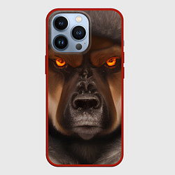 Чехол для iPhone 13 Pro Тещин медведь, цвет: 3D-красный