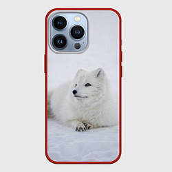 Чехол для iPhone 13 Pro Полярная лисичка, цвет: 3D-красный