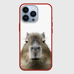 Чехол для iPhone 13 Pro Капибара пофигист, цвет: 3D-красный