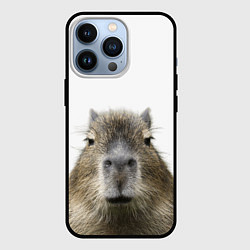 Чехол для iPhone 13 Pro Капибара пофигист, цвет: 3D-черный