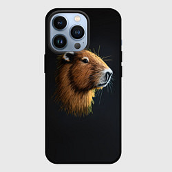 Чехол для iPhone 13 Pro Вышивка Капибара, цвет: 3D-черный