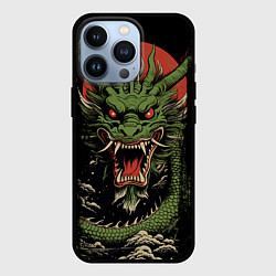 Чехол для iPhone 13 Pro Зеленый дракон с открытой пастью, цвет: 3D-черный