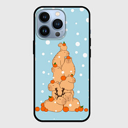 Чехол для iPhone 13 Pro Гора капибара в снегу, цвет: 3D-черный