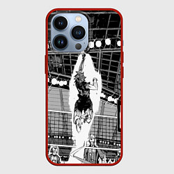 Чехол для iPhone 13 Pro Хината Шое взлетает, цвет: 3D-красный
