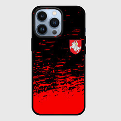 Чехол для iPhone 13 Pro Герб Белоруссии краски красные, цвет: 3D-черный