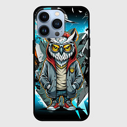 Чехол для iPhone 13 Pro Сова в стильной одежде модница, цвет: 3D-черный